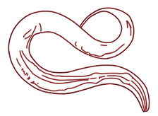 Untitled270_20260520165300.PNG
