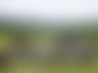 自然体験山コース⛰