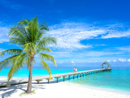 Discover Fiji with the "Fiji Travel Guide 2025"