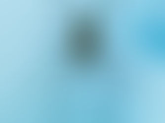 Tips to Prevent Pests From Entering Your Home