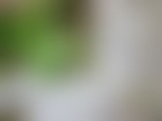 Doordacht tuinontwerp met balans tussen bestrating en beplanting, ontworpen om veelgemaakte fouten bij tuinaanleg te voorkomen