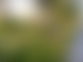 Duurzame groene tuin met natuurlijke materialen, veel planten en een ontspannen sfeer