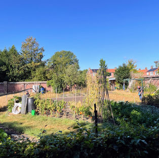 Bestaande situatie van het projectgebied voorafgaand aan herinrichting