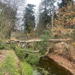 Waterloop en natuurontwikkeling op het terrein van Huize Witven