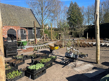 Aanleg beplanting