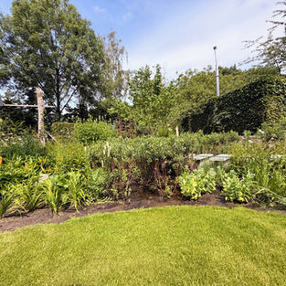 Biodiverse tuin met kleurrijke beplanting en natuurlijke uitstraling