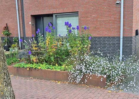 Bloeiende voortuin beplanting bij een bakstenen woning.