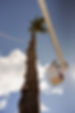 FROM BELOW .jpeg