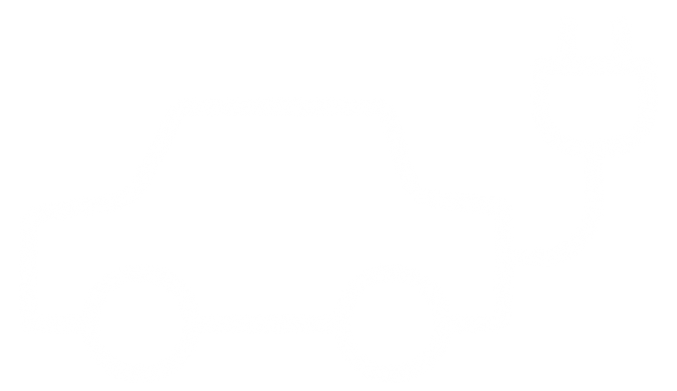 Untitled design (83).png