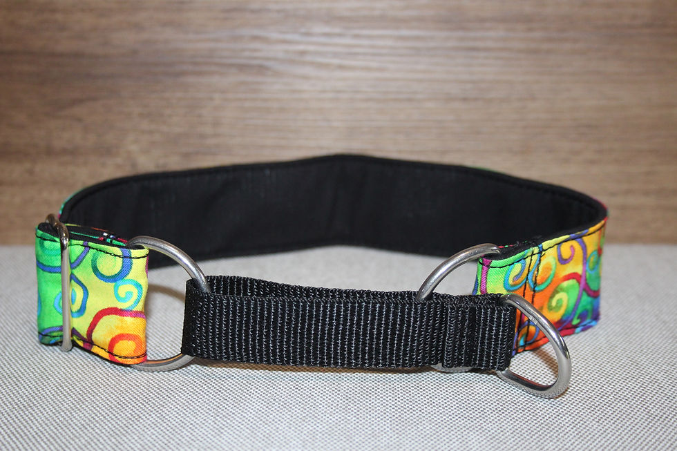 Thumbnail: 2" Inch Greyhound, martingale collar