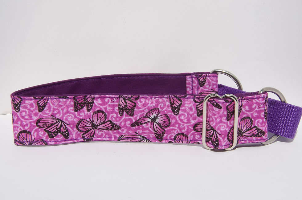 Thumbnail: 1.5inch Martingale, Greyhound, whippet Collar