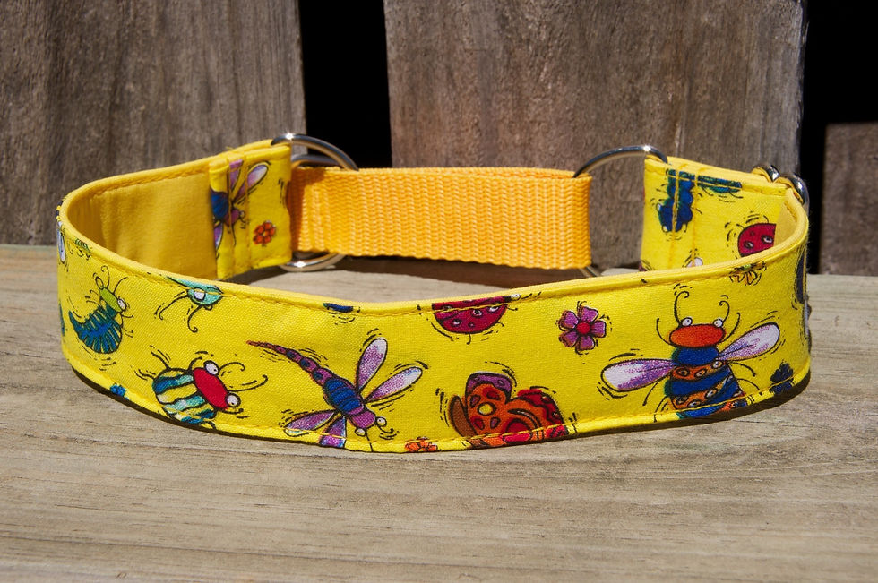 Thumbnail: 1.5inch Martingale, Greyhound, whippet Collar