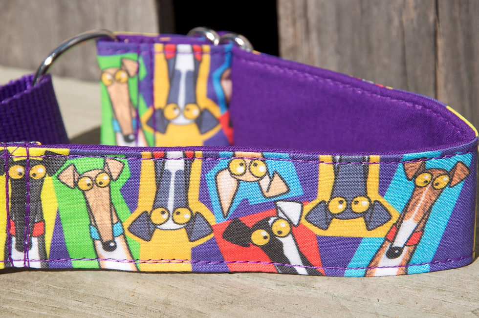 Thumbnail: 1.5inch Martingale, Greyhound, whippet Collar