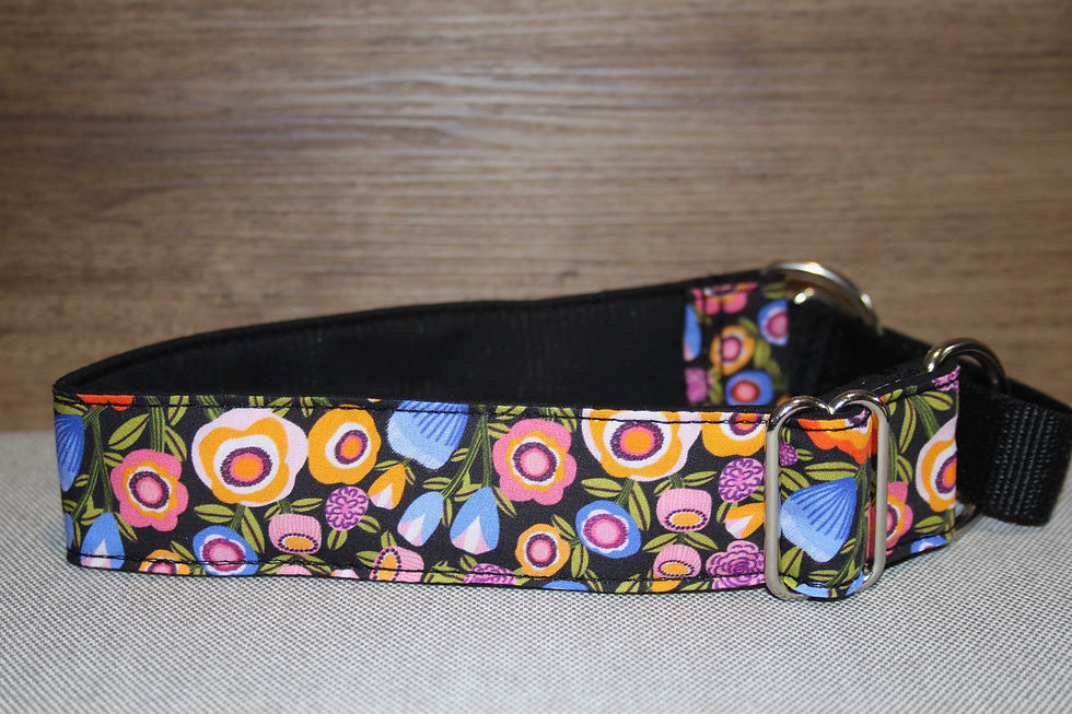 Thumbnail: 1.5inch Martingale, Greyhound, whippet Collar
