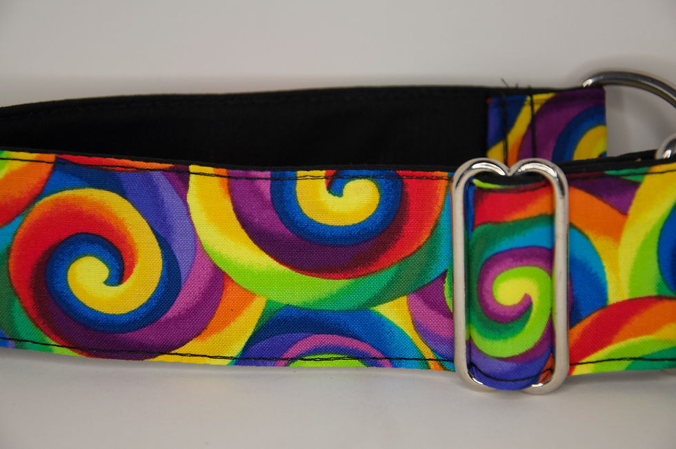 Thumbnail: 2" Inch Greyhound, martingale collar