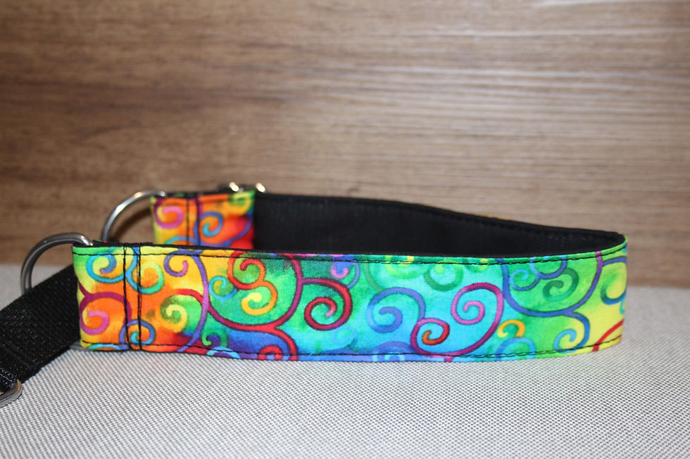 Thumbnail: 1.5inch Martingale, Greyhound, whippet Collar