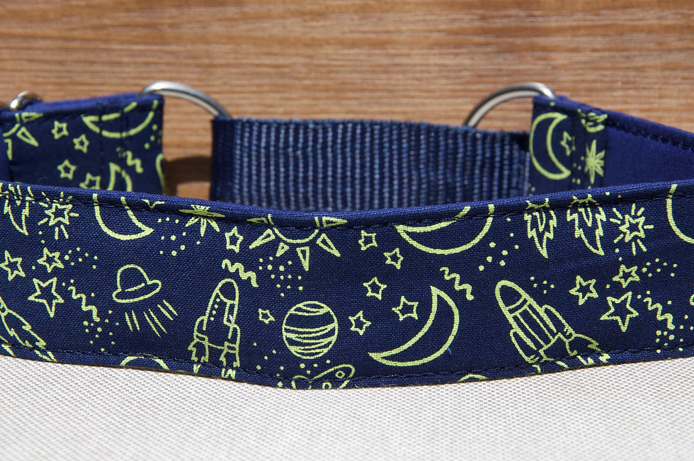 Thumbnail: 1.5inch Martingale, Greyhound, whippet Collar