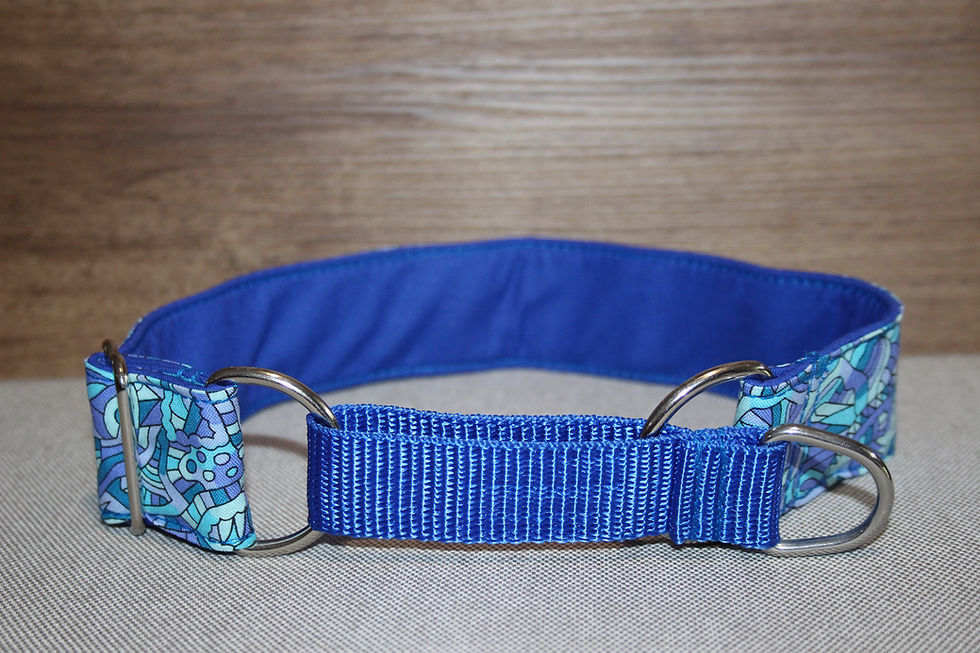 Thumbnail: 1.5inch Martingale, Greyhound, whippet Collar