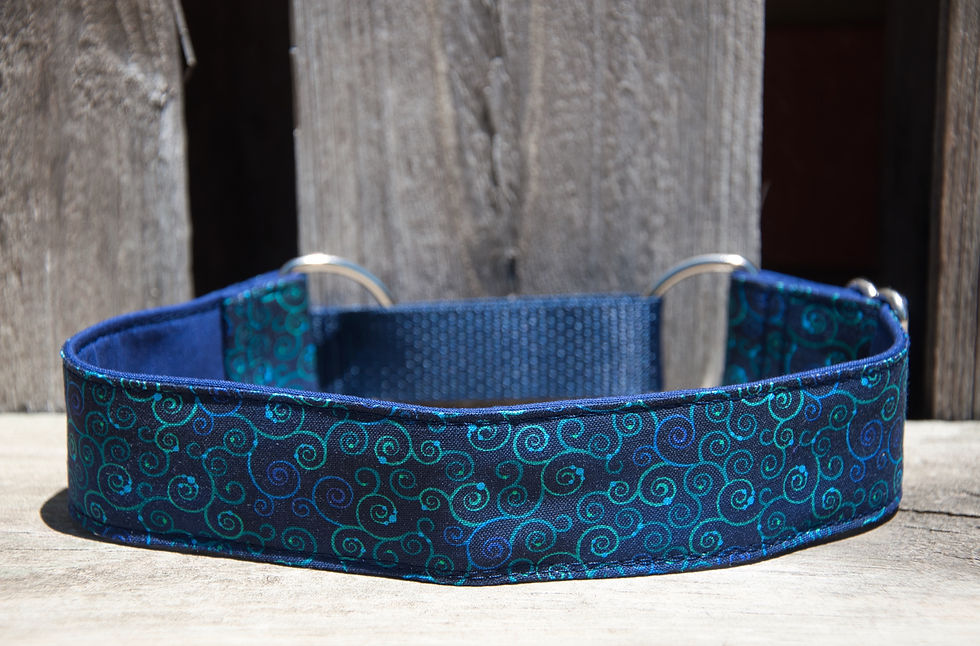 Thumbnail: 1.5inch Martingale, Greyhound, whippet Collar