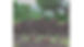 rock wall (1).png