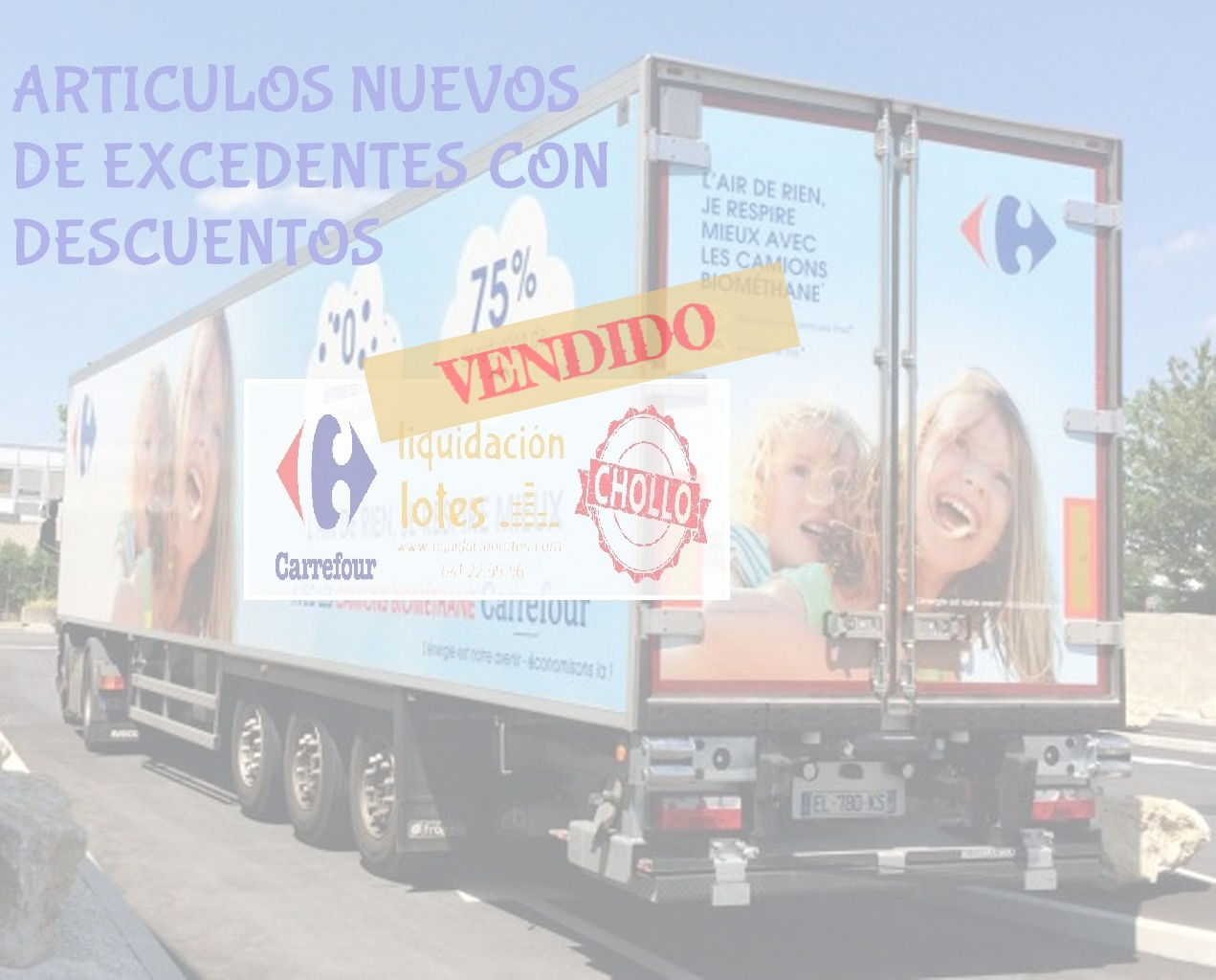 Lote Camion Carrefour Europe Producto NUEVO ELECTRONICA