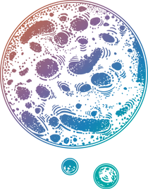 Planet
