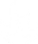 fireico.png