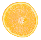 Weight Loss Recommendations