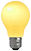 Light Bulb.jpg