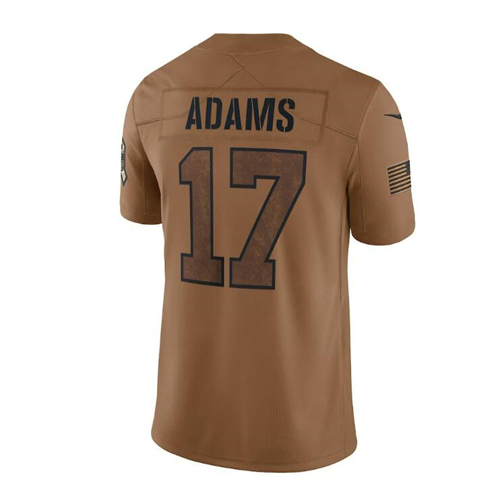 LV.Raiders #17 Davante Adams Brown 2023 Salute To Service Limited Jersey Stitche