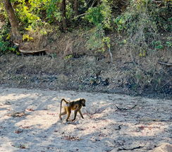 Foto 07.06.22, 9 13 02 AM.heic