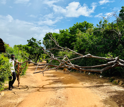 Foto 02.01.22, 5 33 10 AM.heic