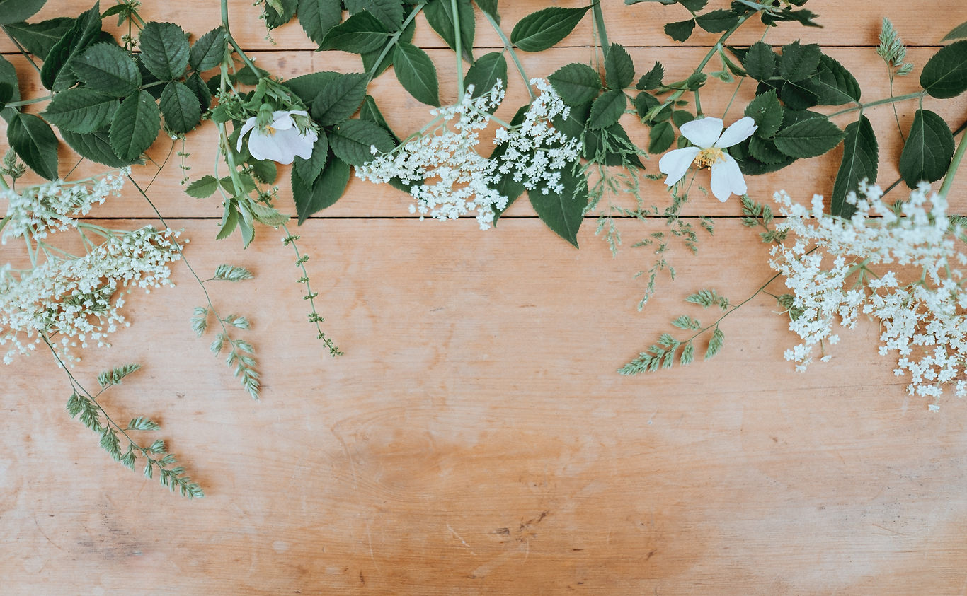 annie-spratt-OWq8w3BYMFY-unsplash.jpg
