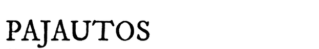 PAJAUTOS-03.png