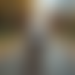 Wenn Verhalten herausfordert: verstehen statt korrigieren