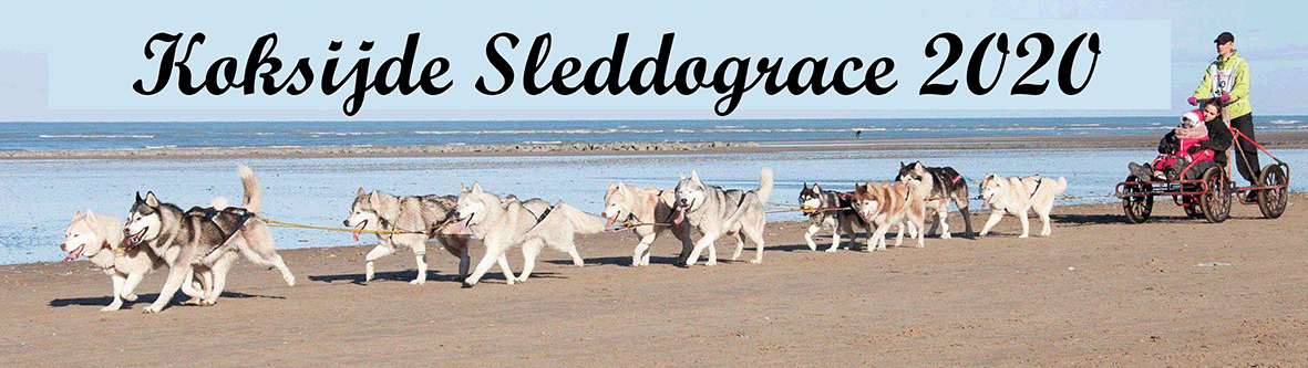 Koksijde_Sleddograce_Race 2020 banner.gi