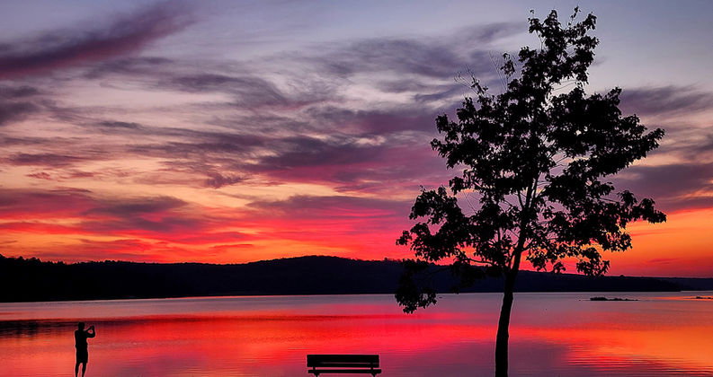 Spruce Sunset1.jpg