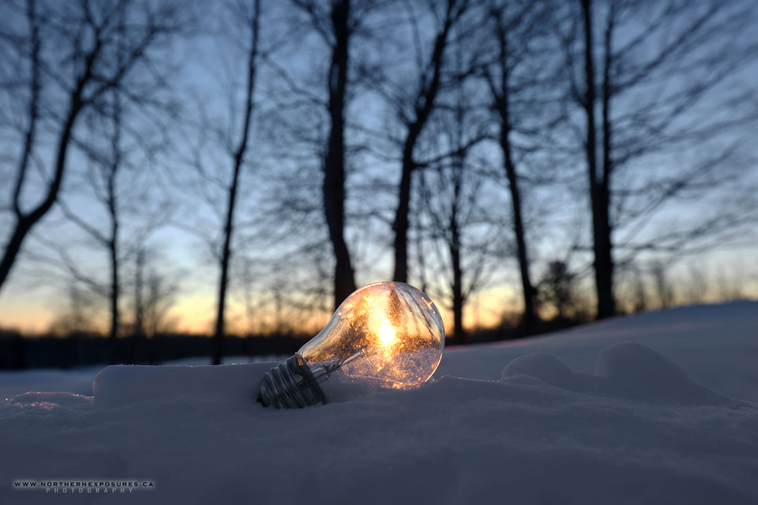 winter lightbulb2.jpg