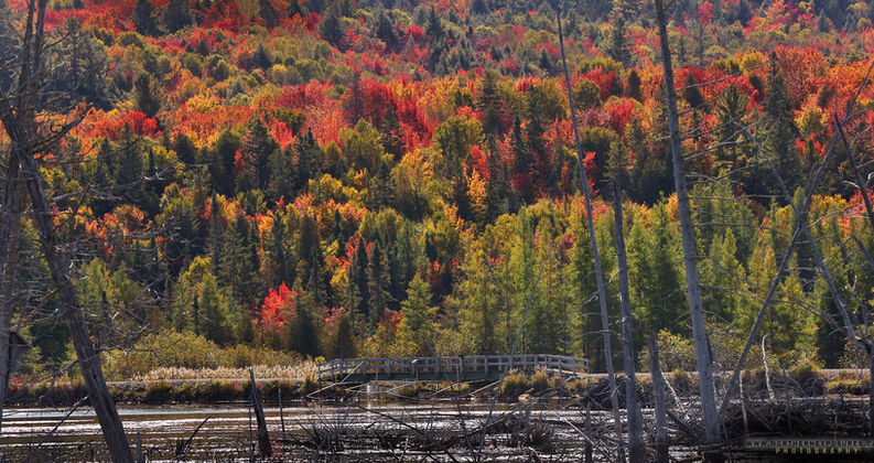 Sheriff's Creek Fall13.jpg