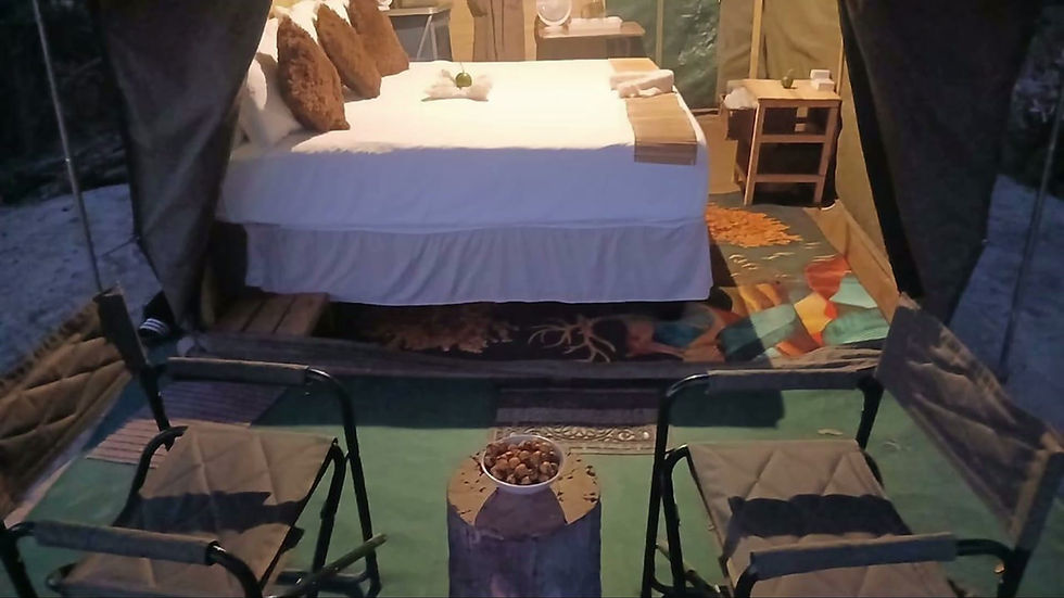 My video.mp4