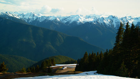 Tripine Selects Horizontal.01_00_40_19.Still254.JPG