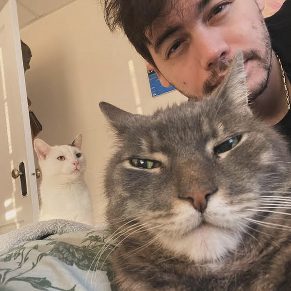 Writer: Mustafa Feyyaz Sonbudak