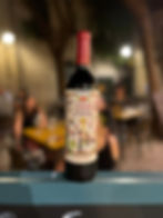 VINOS NATURALES / NATURAL WINE