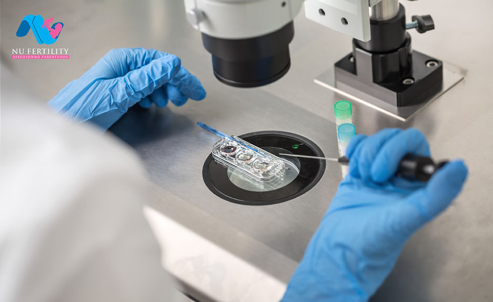 In Vitro Fertilization - Procedure, Preparation & Risks