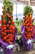 PXL_20230810_032114996_edited.jpg
