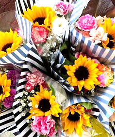 1750827321374_edited.jpg