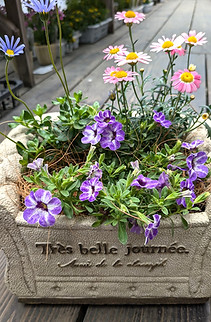PXL_20250510_030705415_edited.jpg