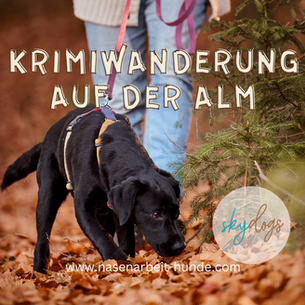 SchnupperClub Veranstaltungen Herbst/Winter 2023