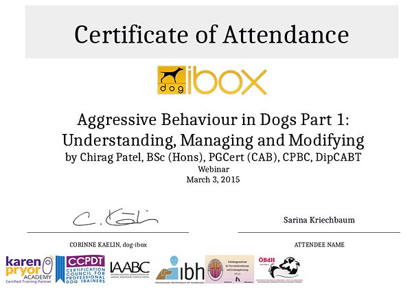 Aggressive Behavior in Dogs.jpeg