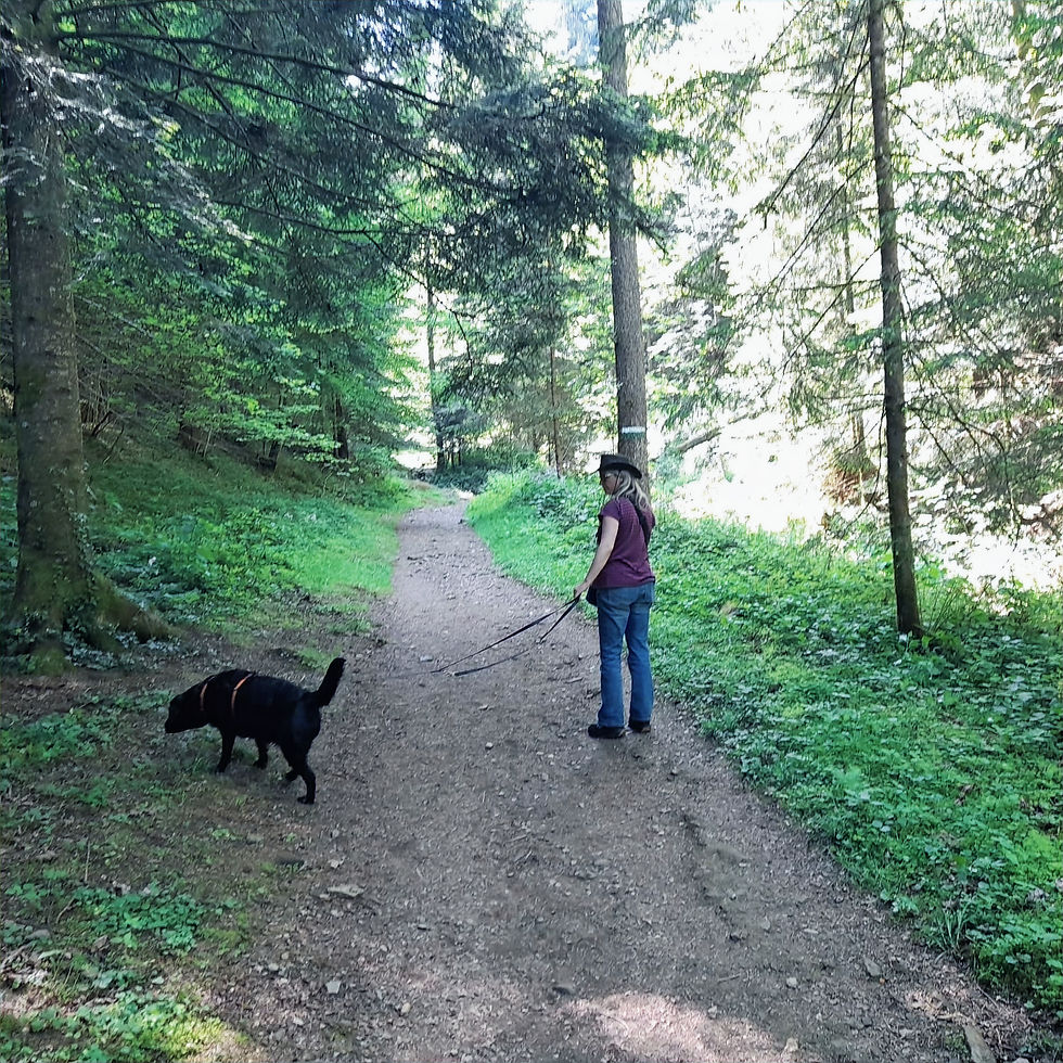 Wandern mit Hund Heiligengeistklamm